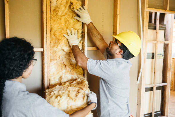 Insulation Repair Services in East Berwick, PA